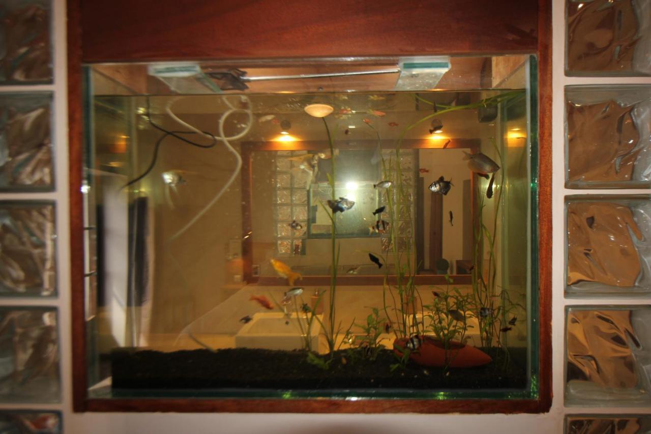 Hotel Casa Evora - Luxury And Beach Front Cidade do Maio 외부 사진